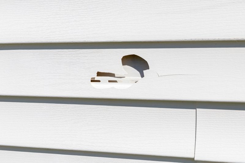Replacing Damaged Vinyl Siding